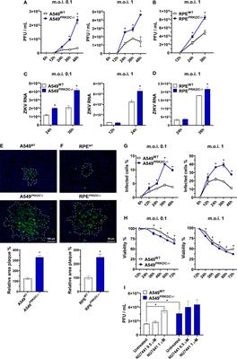 DNA-PKcs restricts Zika virus spreading and is required for effective antiviral response